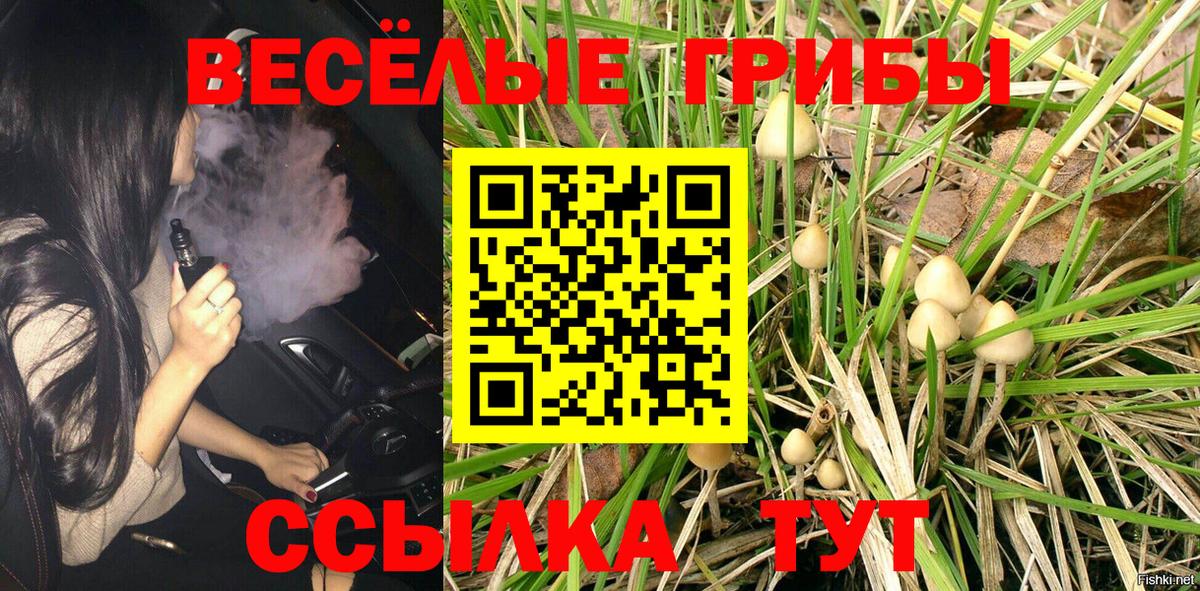Галлюциногенные грибы Psilocybine cubensis Миллерово