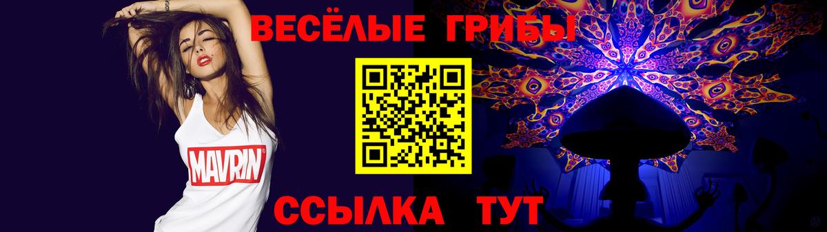 Миллерово  Псилоцибиновые грибы прущие грибы  Псилоцибиновые грибы ЛСД  Вход с VPN 