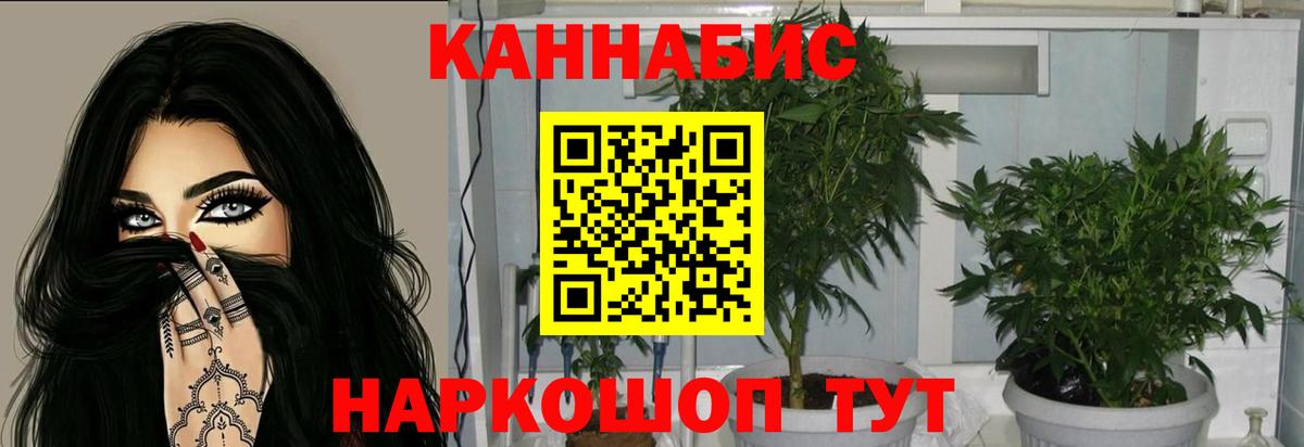 Миллерово  Каннабис SATIVA & INDICA  МАРИХУАНА THC 21%  Каннабис Ganja  Вход с VPN 